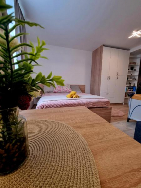 Lovely Studio at the City Heart Bratislava